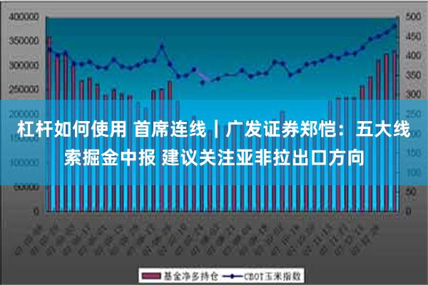 杠杆如何使用 首席连线｜广发证券郑恺：五大线索掘金中报 建议关注亚非拉出口方向