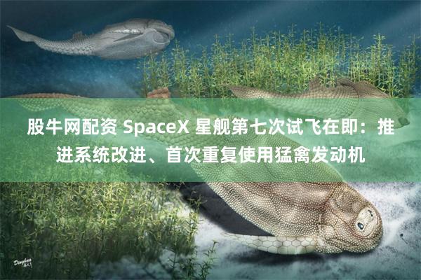股牛网配资 SpaceX 星舰第七次试飞在即：推进系统改进、首次重复使用猛禽发动机