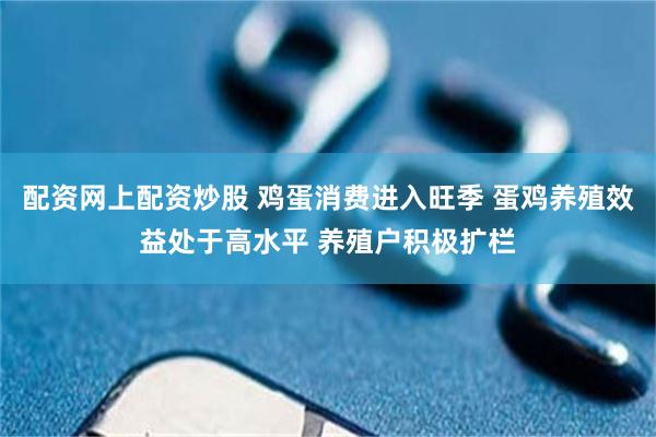 配资网上配资炒股 鸡蛋消费进入旺季 蛋鸡养殖效益处于高水平 养殖户积极扩栏