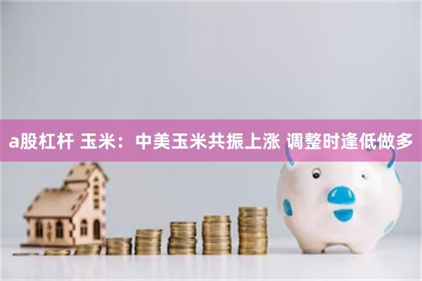 a股杠杆 玉米：中美玉米共振上涨 调整时逢低做多