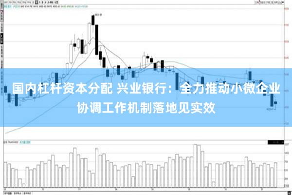 国内杠杆资本分配 兴业银行：全力推动小微企业协调工作机制落地见实效