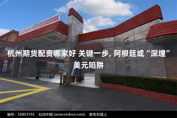 杭州期货配资哪家好 关键一步, 阿根廷或“深埋”美元陷阱