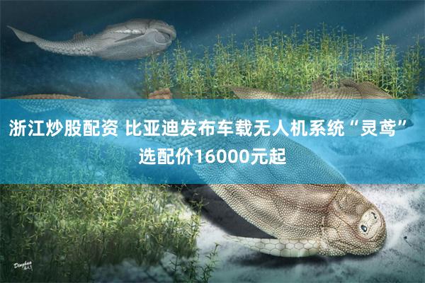 浙江炒股配资 比亚迪发布车载无人机系统“灵鸢” 选配价16000元起