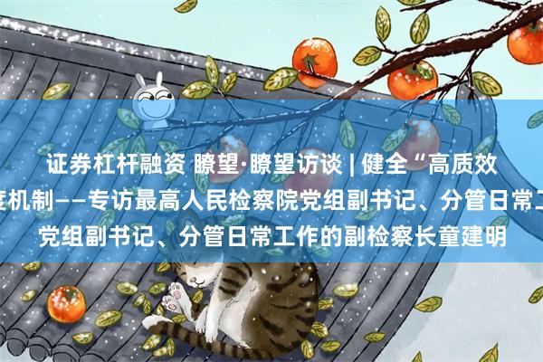证券杠杆融资 瞭望·瞭望访谈 | 健全“高质效办好每一个案件”制度机制——专访最高人民检察院党组副书记、分管日常工作的副检察长童建明