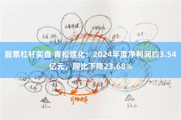 股票杠杆实盘 青松建化：2024年度净利润约3.54亿元，同比下降23.68%