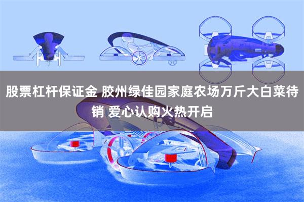 股票杠杆保证金 胶州绿佳园家庭农场万斤大白菜待销 爱心认购火热开启