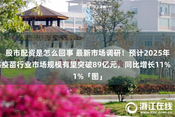 股市配资是怎么回事 最新市场调研！预计2025年流感疫苗行业市场规模有望突破89亿元，同比增长11%「图」