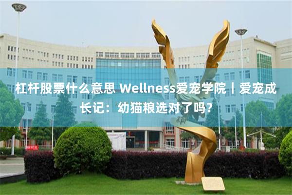 杠杆股票什么意思 Wellness爱宠学院丨爱宠成长记：幼猫粮选对了吗？