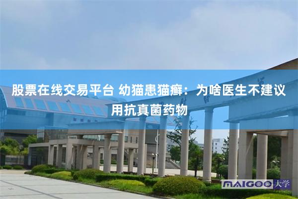 股票在线交易平台 幼猫患猫癣：为啥医生不建议用抗真菌药物