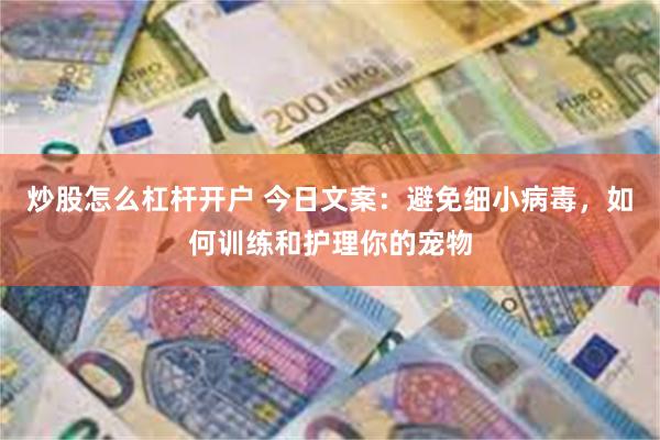 炒股怎么杠杆开户 今日文案：避免细小病毒，如何训练和护理你的宠物