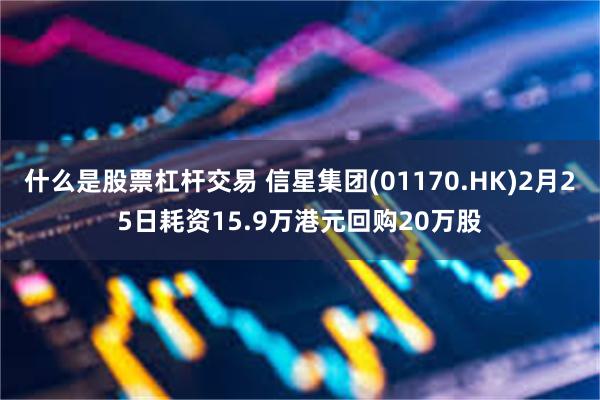 什么是股票杠杆交易 信星集团(01170.HK)2月25日耗资15.9万港元回购20万股