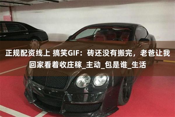 正规配资线上 搞笑GIF：砖还没有搬完，老爸让我回家看着收庄稼_主动_包是谁_生活