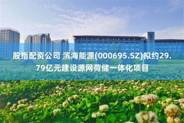 股指配资公司 滨海能源(000695.SZ)拟约29.79亿元建设源网荷储一体化项目