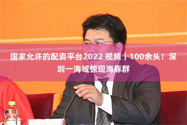 国家允许的配资平台2022 视频｜100余头！深圳一海域惊现海豚群