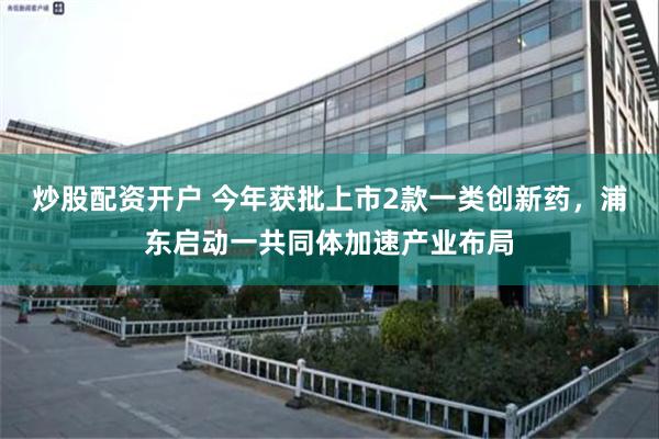 炒股配资开户 今年获批上市2款一类创新药，浦东启动一共同体加速产业布局