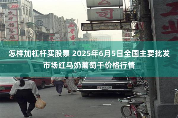怎样加杠杆买股票 2025年6月5日全国主要批发市场红马奶葡萄干价格行情