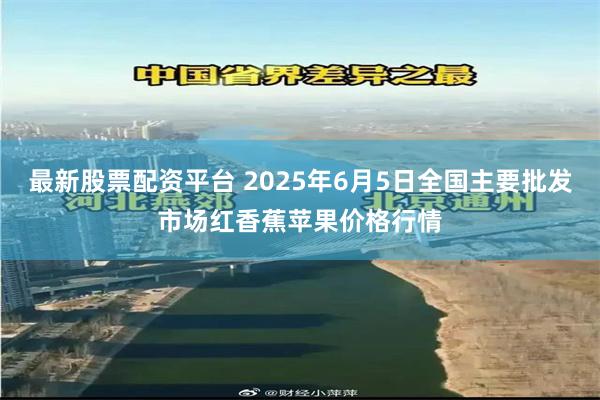 最新股票配资平台 2025年6月5日全国主要批发市场红香蕉苹果价格行情