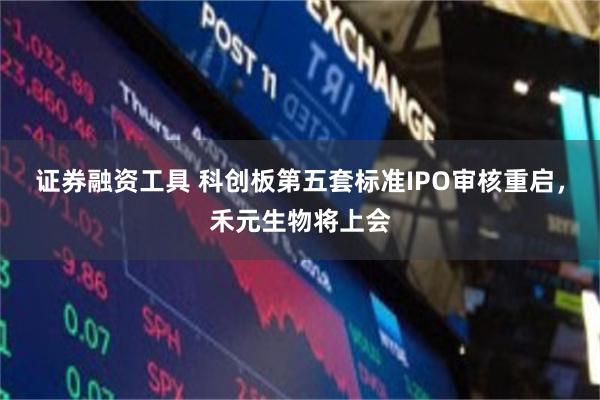 证券融资工具 科创板第五套标准IPO审核重启，禾元生物将上会