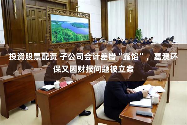 投资股票配资 子公司会计差错“露馅”，嘉澳环保又因财报问题被立案
