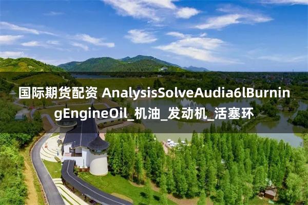 国际期货配资 AnalysisSolveAudia6lBurningEngineOil_机油_发动机_活塞环