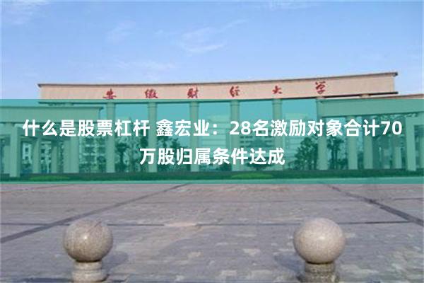 什么是股票杠杆 鑫宏业：28名激励对象合计70万股归属条件达成