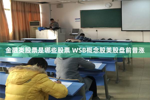 金融类股票是哪些股票 WSB概念股美股盘前普涨