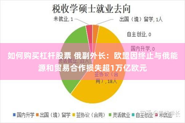 如何购买杠杆股票 俄副外长：欧盟因终止与俄能源和贸易合作损失超1万亿欧元