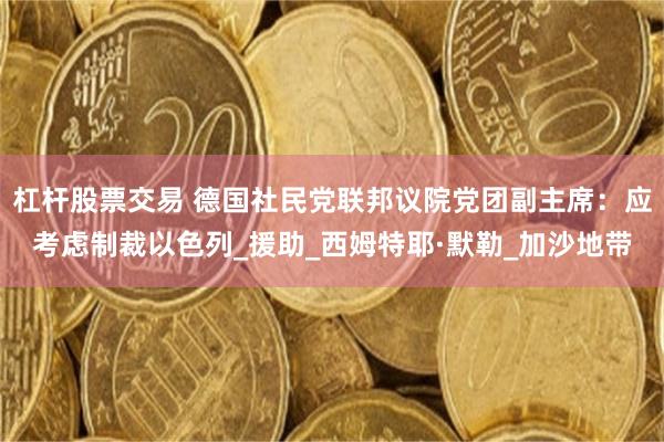 杠杆股票交易 德国社民党联邦议院党团副主席：应考虑制裁以色列_援助_西姆特耶·默勒_加沙地带