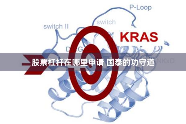 股票杠杆在哪里申请 国泰的功守道