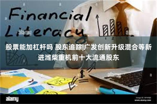 股票能加杠杆吗 股东追踪|广发创新升级混合等新进潍柴重机前十大流通股东