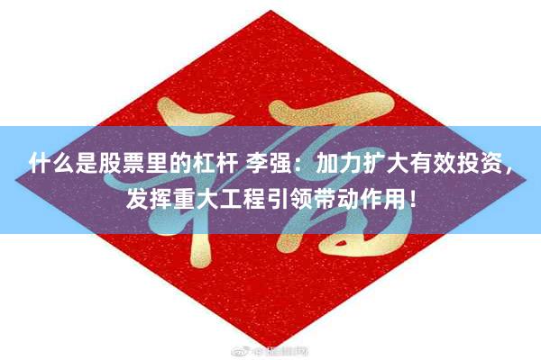 什么是股票里的杠杆 李强：加力扩大有效投资，发挥重大工程引领带动作用！