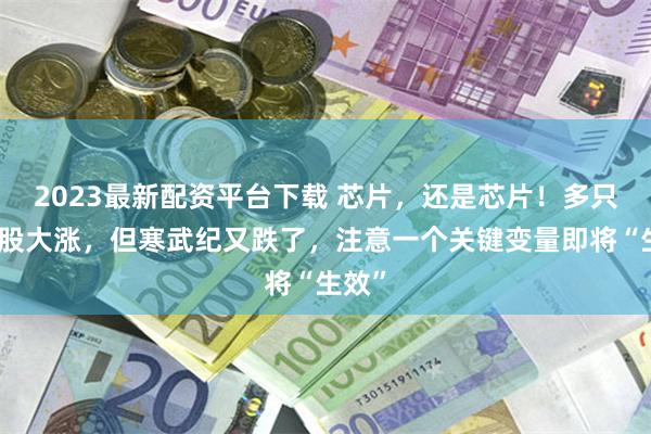 2023最新配资平台下载 芯片，还是芯片！多只芯片股大涨，但寒武纪又跌了，注意一个关键变量即将“生效”
